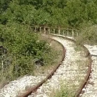 Piana di Gioia Tauro, il progetto per la metro leggera guadagna consensi