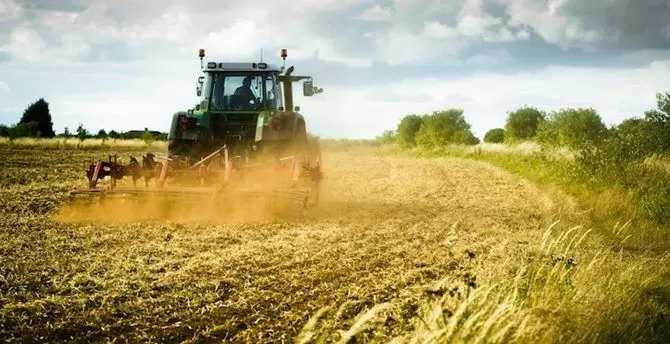 Agricoltura in ginocchio per il maltempo, la Coldiretti lancia l'allarme