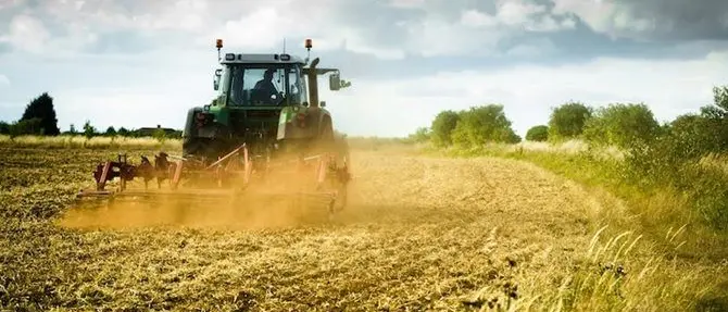 Agricoltura in ginocchio per il maltempo, la Coldiretti lancia l'allarme
