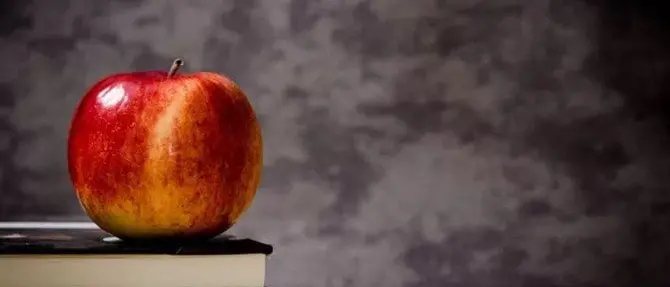 Regali alle maestre, la corsa a chi lo fa più costoso. Ma troppo è vietato