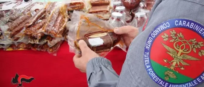 Prodotti privi di tracciabilità, sanzioni e sequestri nel Vibonese
