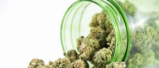 Blitz interforze nei negozi cannabis light a Reggio Calabria