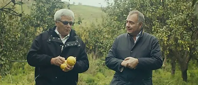 Il re del bergamotto calabrese nominato Cavaliere del lavoro da Mattarella