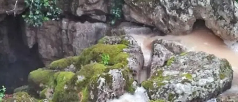 Salvi i quattro speleologi intrappolati in una grotta nel Cosentino, stanno bene