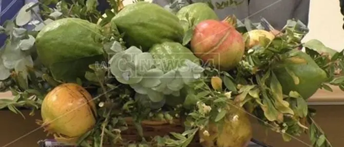 Dal Gal Riviera dei Cedri un milione di euro per lo sviluppo dell'agricoltura