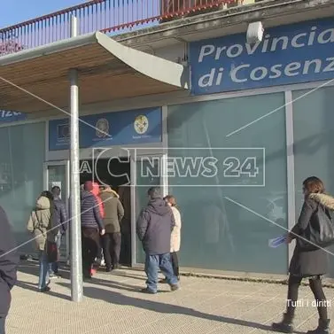 Cosenza, allarme topi rientrato al Centro per l'Impiego