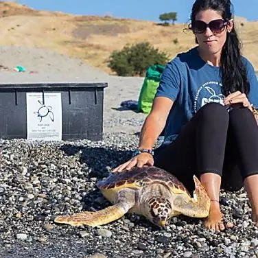 Brancaleone, l’ospedale delle tartarughe marine riapre i battenti