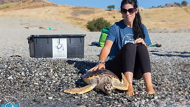 Brancaleone, l’ospedale delle tartarughe marine riapre i battenti