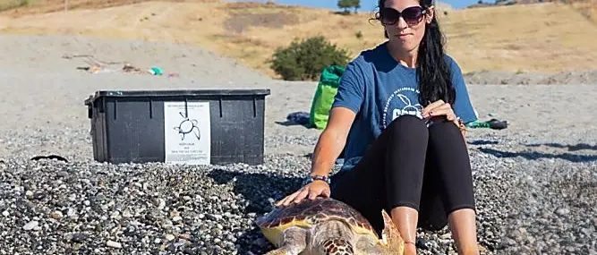 Brancaleone, l’ospedale delle tartarughe marine riapre i battenti