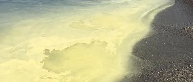 Mare giallastro su costa jonica. Arpacal rassicura: «È polline di pino»