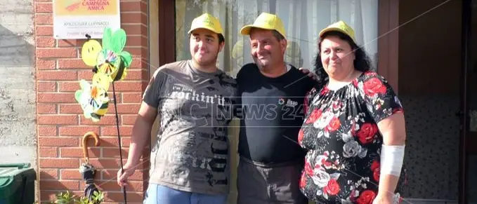 Sull'orlo del fallimento per il furto delle arnie ripartono grazie alle donazioni