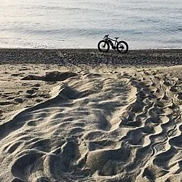 La Calabria piace alle tartarughe marine: il primo nido nel Reggino