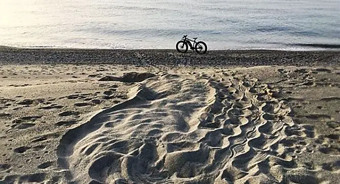 La Calabria piace alle tartarughe marine: il primo nido nel Reggino