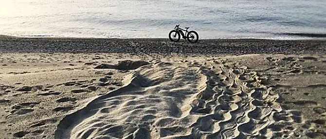 La Calabria piace alle tartarughe marine: il primo nido nel Reggino