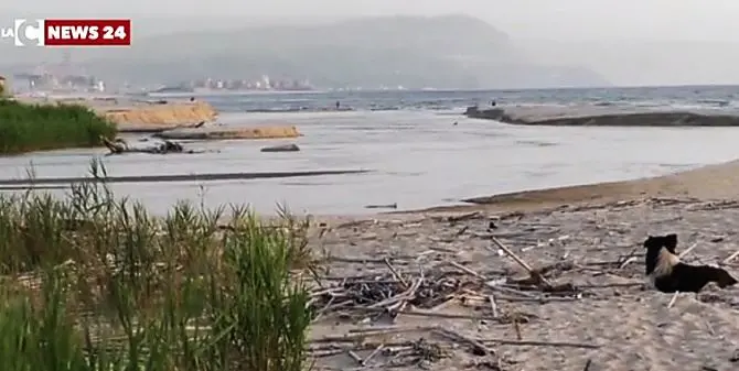 Quella bomba ecologica alla foce del fiume Mesina