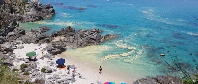 Un tuffo dove il mare è più… giallo: chiazze di polline lungo le coste