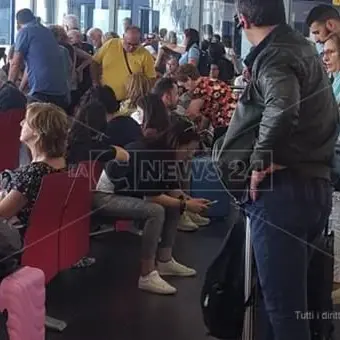 Uccello colpisce un aereo a Lamezia, passeggeri bloccati nello scalo