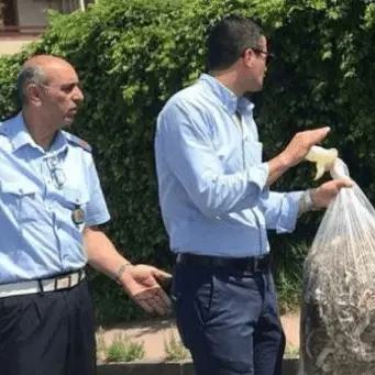 Abbandona rifiuti sul lungomare: sindaco glieli restituisce davanti casa