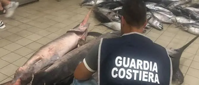 Oltre due tonnellate di pesce sequestrato nel Crotonese