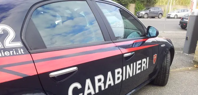 Armi clandestine in una stalla, un arresto a Rizziconi