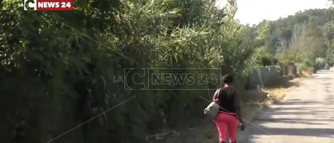 La prostituzione in strada non teme le ordinanze dei sindaci calabresi