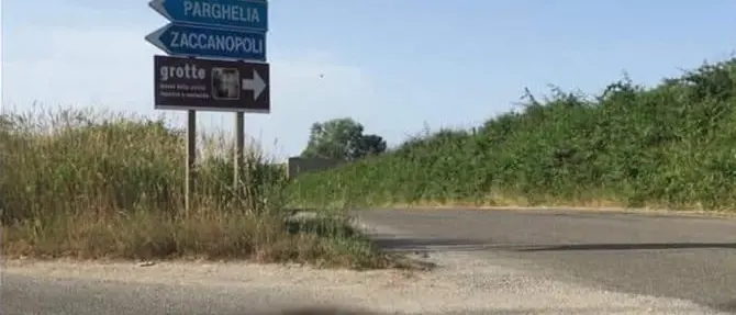 Orrore nel Vibonese, cane viene dato alle fiamme in strada