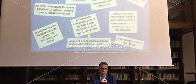Verde e rifiuti a Catanzaro, l'assessore al vetriolo: «Stanco degli imbecilli»