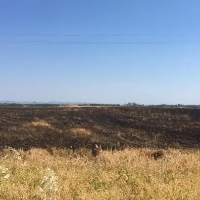 Intimidazioni, incendio distrugge campo di grano in un’azienda di Cutro