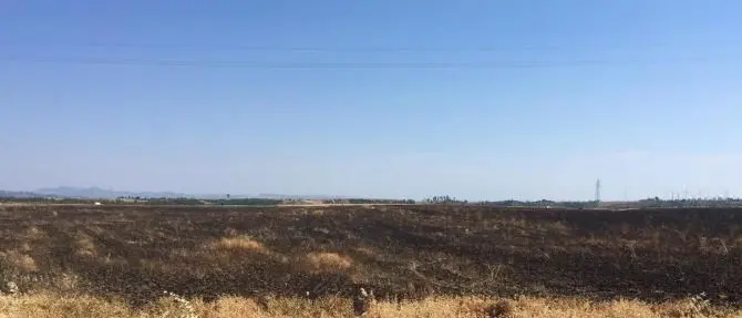Intimidazioni, incendio distrugge campo di grano in un’azienda di Cutro