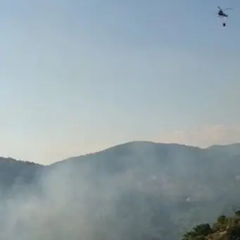 Catanzaro, scoppia un incendio doloso all'interno del parco