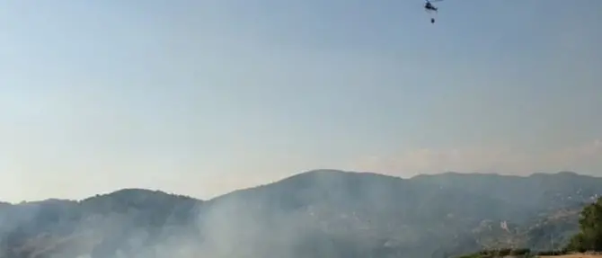 Catanzaro, scoppia un incendio doloso all'interno del parco