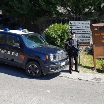 Verbicaro, estorsore in azione arrestato in flagranza di reato