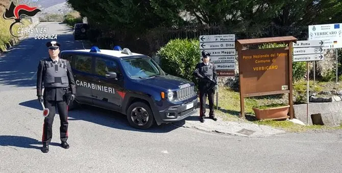 Verbicaro, estorsore in azione arrestato in flagranza di reato