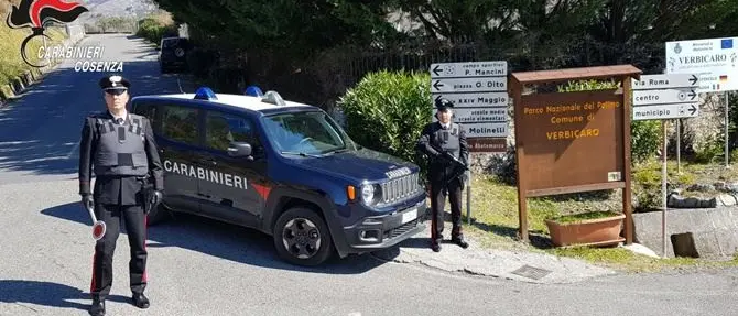 Verbicaro, estorsore in azione arrestato in flagranza di reato