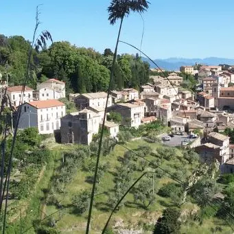 Carolei, al via la prima edizione di Pulsazioni artistiche festival