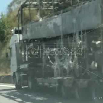 Pullman in fiamme in autostrada, traffico in tilt