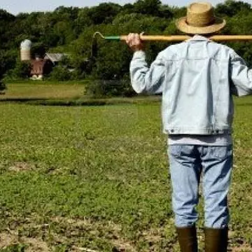 Anche i produttori calabresi al villaggio contadino Coldiretti a Milano