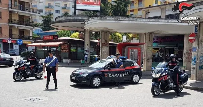 Furti con cavallo di ritorno a Cosenza, quattro arresti