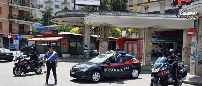 Furti con cavallo di ritorno a Cosenza, quattro arresti
