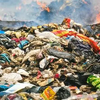 Ecomafie, un giro d'affari di miliardi di euro: Calabria ancora maglia nera
