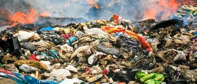 Ecomafie, un giro d'affari di miliardi di euro: Calabria ancora maglia nera