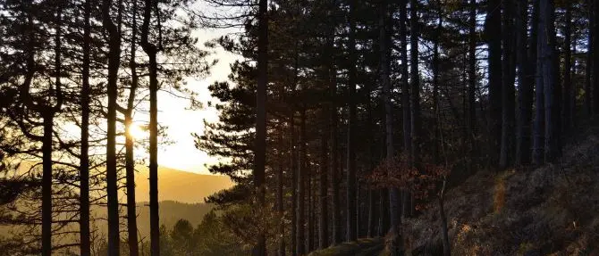 Musica e natura, il Parco di Platania ospiterà il Color fest