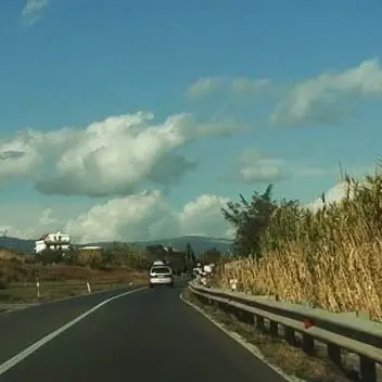 Il matrimonio Salini-Astaldi salverà il progetto SS 106? Dipende dalla politica...