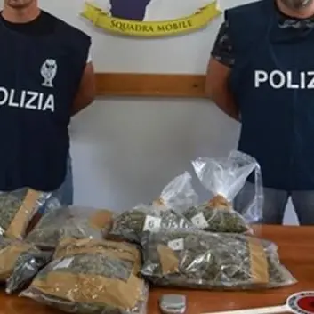 Quasi tre chili di marijuana nel garage, due arresti a Catanzaro