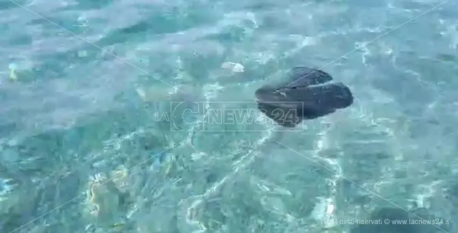 E adesso Vibo Marina fa i conti col mare-discarica