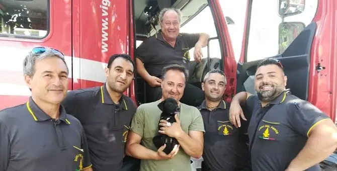 Verbicaro, cucciolo di cane salvato dopo un volo di 10 metri