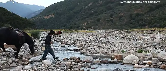 La transumanza del brigante, un rito millenario nel cuore della Sila