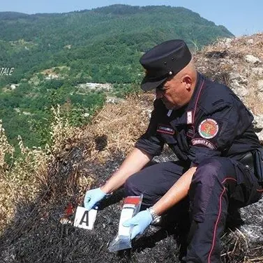 Le lanterne della processione innescano un incendio ad Aiello, denunciato 51enne