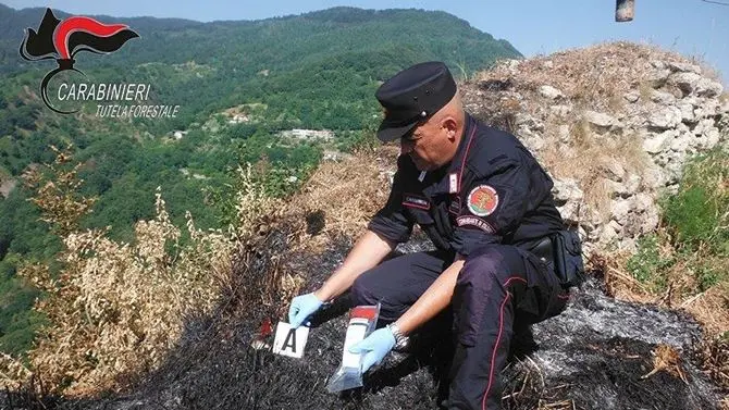 Le lanterne della processione innescano un incendio ad Aiello, denunciato 51enne