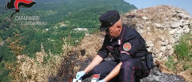 Le lanterne della processione innescano un incendio ad Aiello, denunciato 51enne